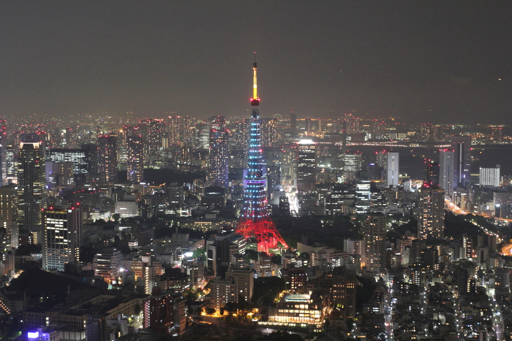 六本木ヒルズからの夜景