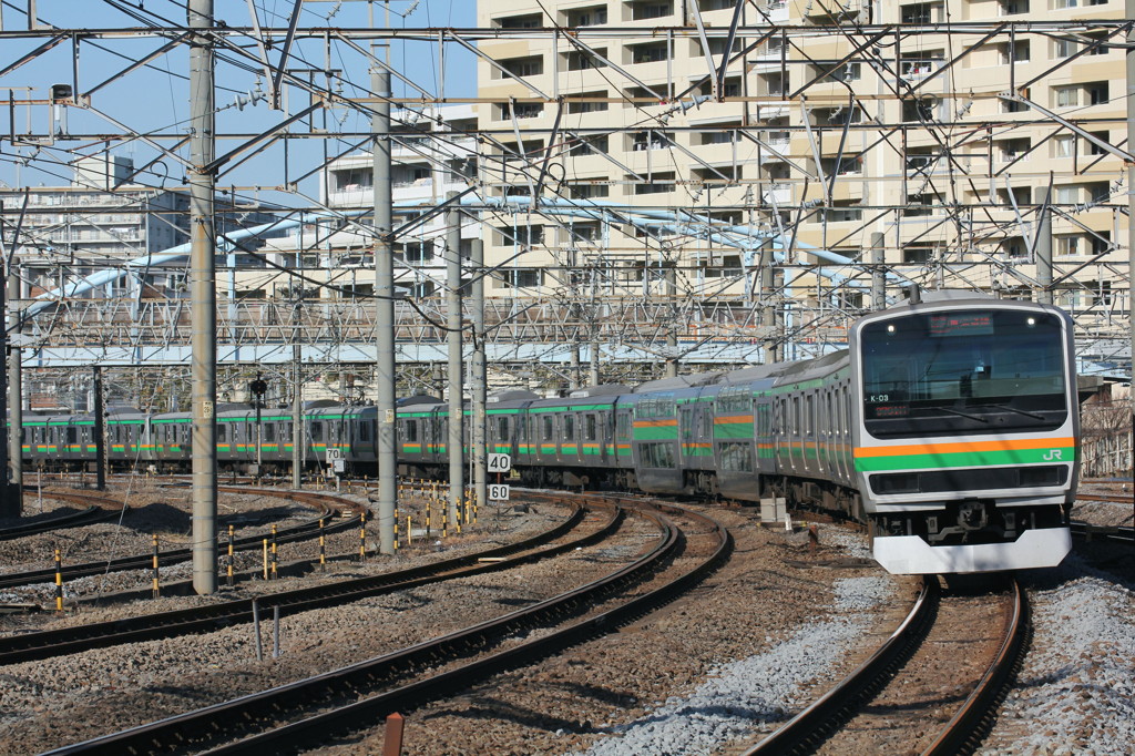 東海道線 E231系