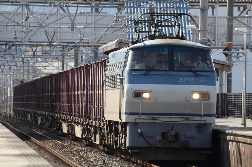 EF66 126貨物列車