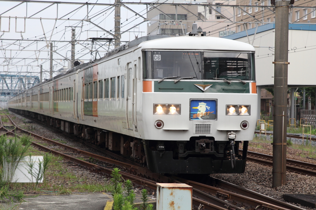 185系　湘南ライナー