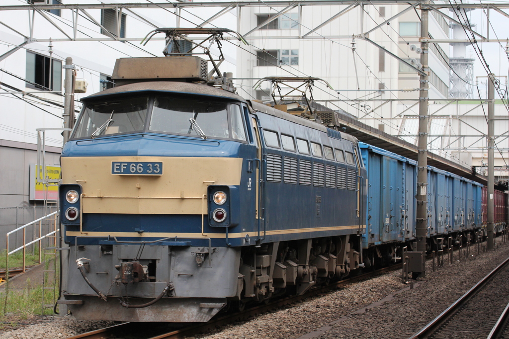 EF66-33