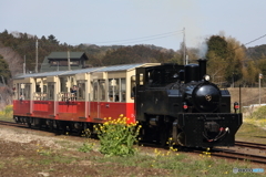 小湊鉄道　里山トロッコ