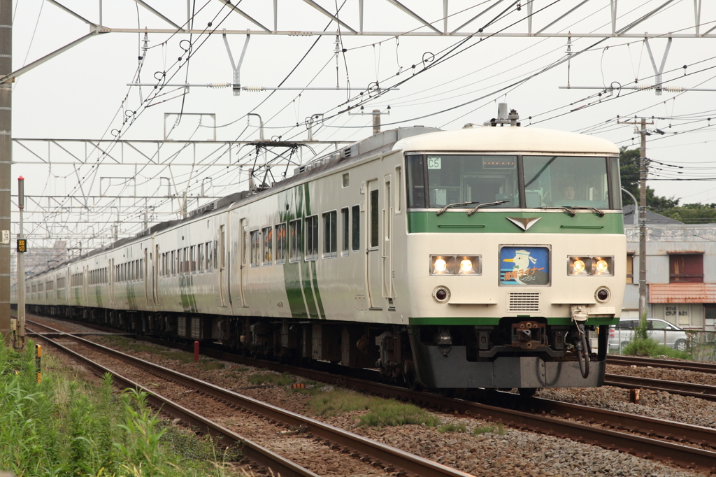 185系　湘南ライナー