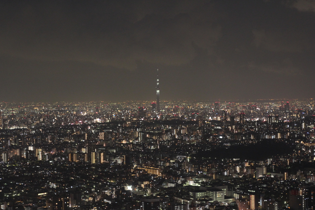 サンシャイン60からの夜景(その5)