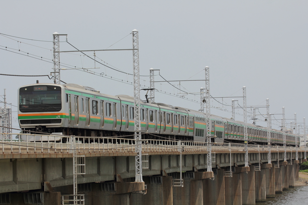 東海道線　E231系