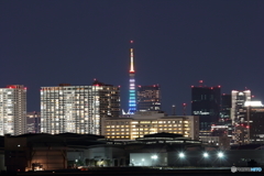 若洲海浜公園からの夜景