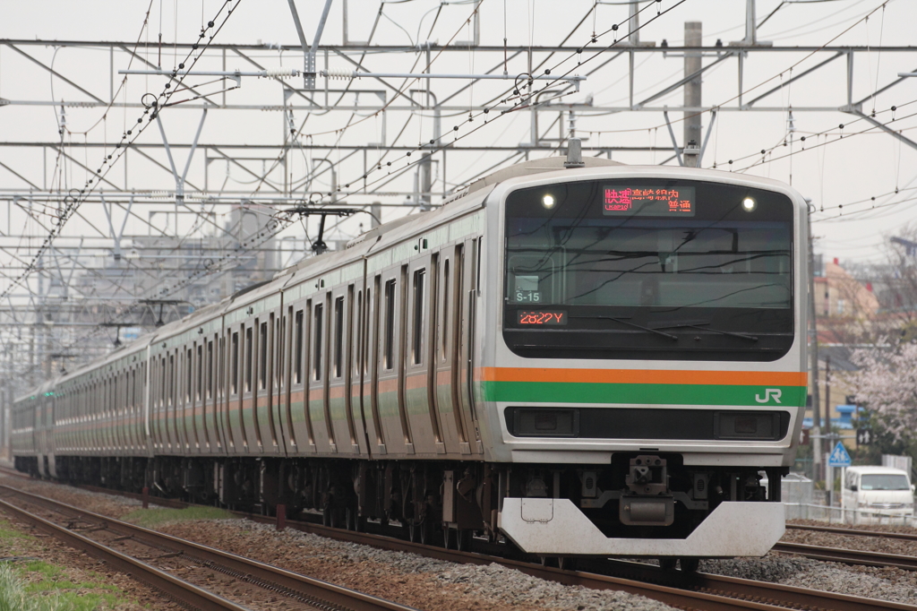 湘南新宿ライン　E231系