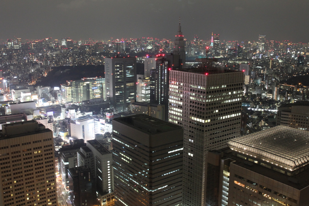 都庁からの夜景4