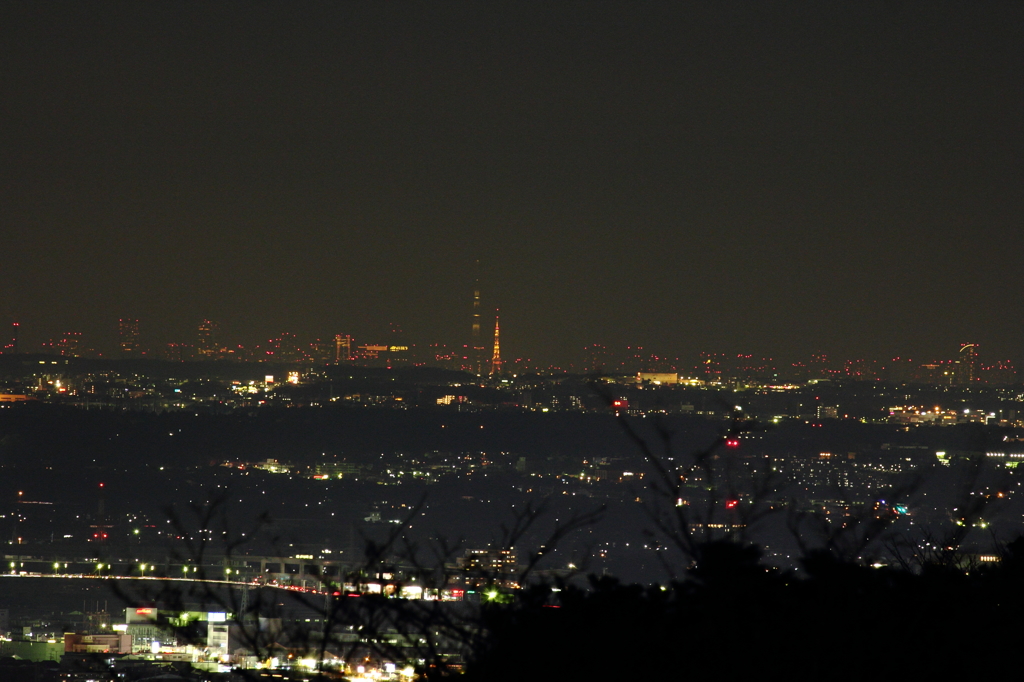湘南平からの夜景