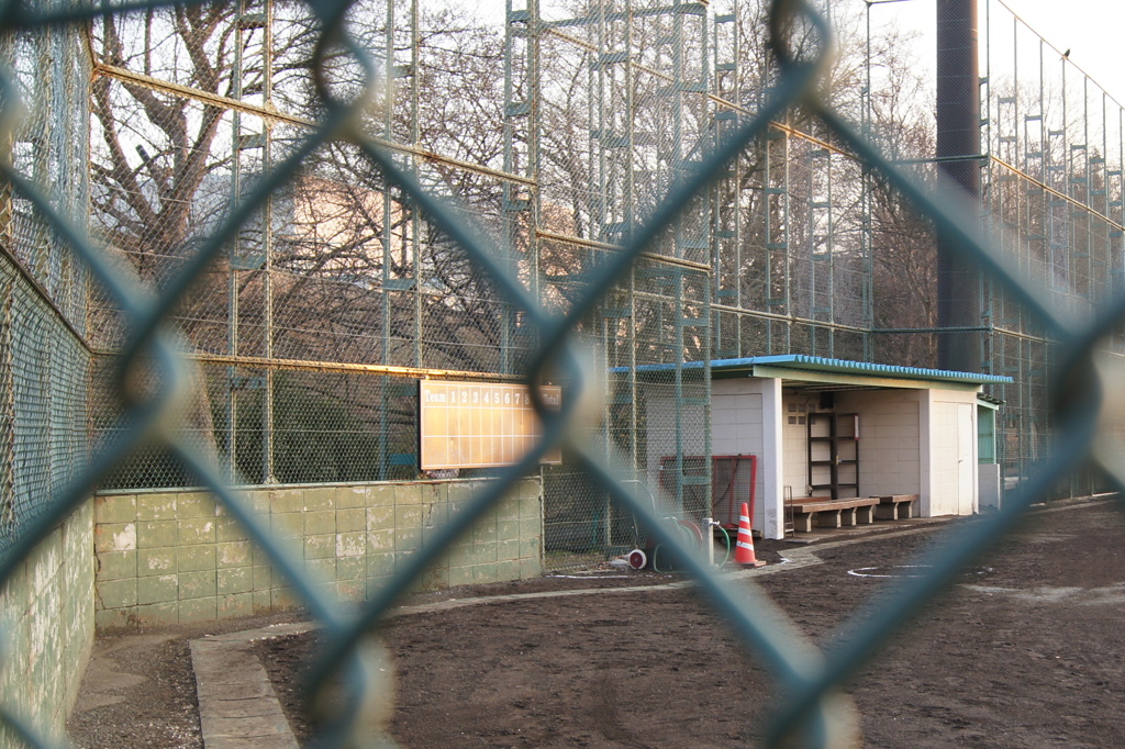 野川散歩