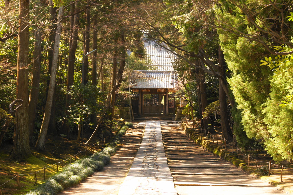 2011･3･19　鎌倉・横浜