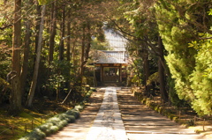 2011･3･19　鎌倉・横浜
