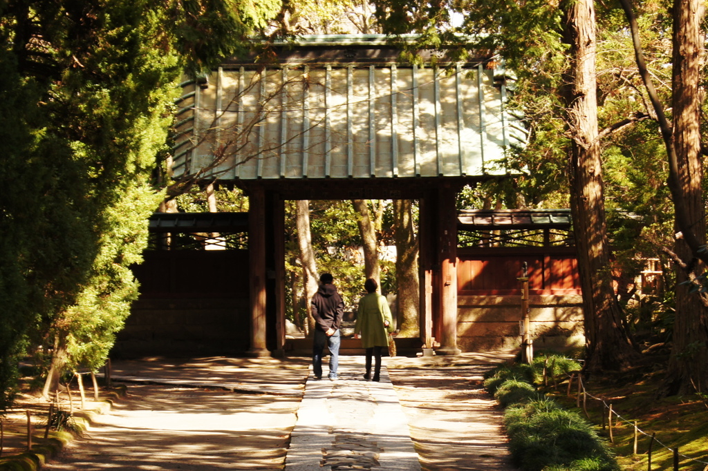 2011･3･19　鎌倉・横浜