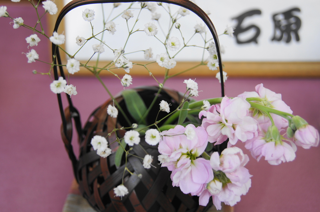 2011･3･19　鎌倉・横浜