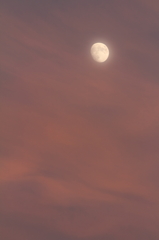 Moon in the magic hour