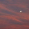 Moon in the magic hour Ⅱ