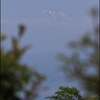 達磨山から富士を望む