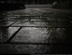五月雨