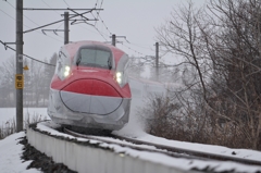 雪の中を疾走するスーパーこまち Ⅱ