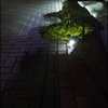 もうひとつの世界