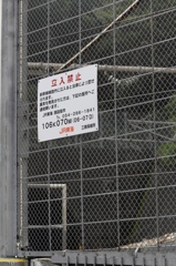 本日の新幹線撮影場所は・・・