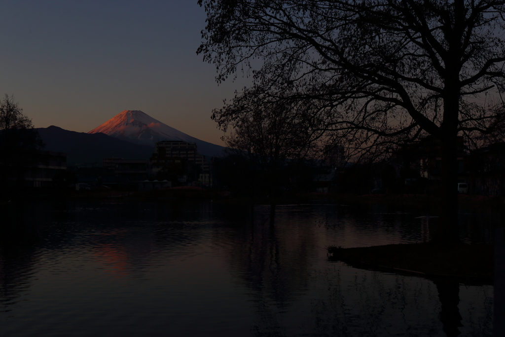 中郷温水池より望む富士の夕景