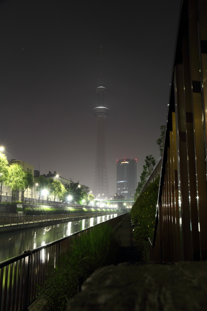 夜の東京スカイツリー
