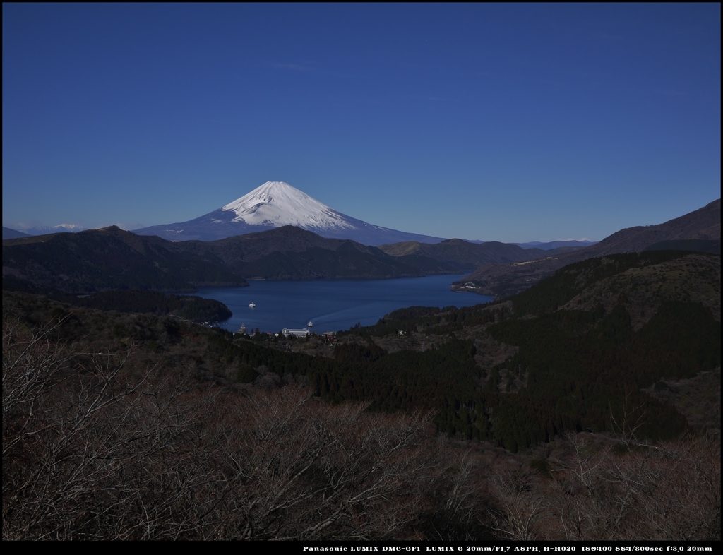 謹賀新年　富士見峠より望む富士山