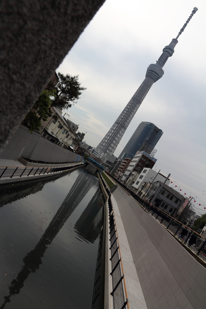 東京スカイツリ－