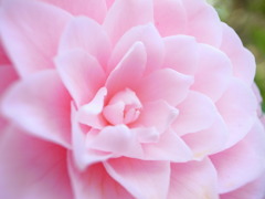 R0017224