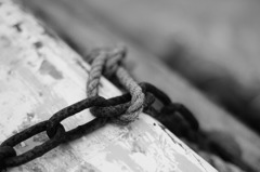 IMG_0902