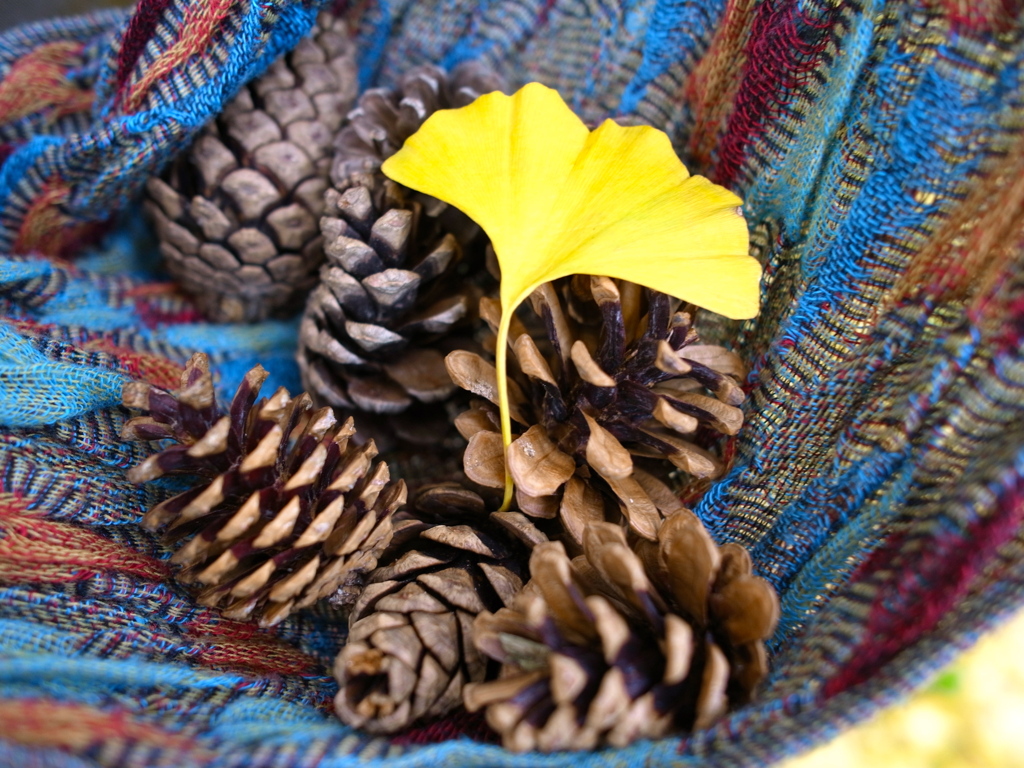 R0010740