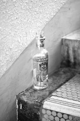 IMG_9517