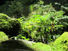 高千穂-3