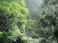 高千穂-2