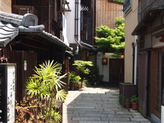 清水寺周辺5