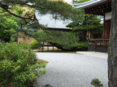 金閣寺2