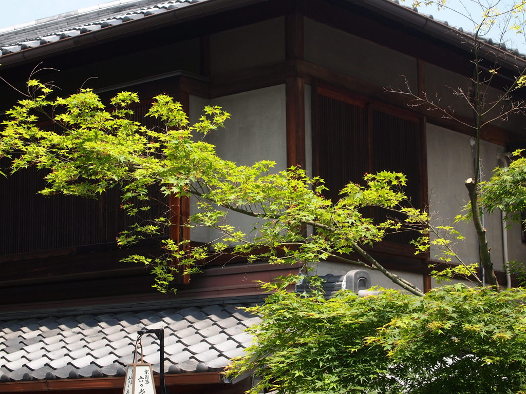 清水寺周辺2