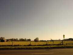 sun set