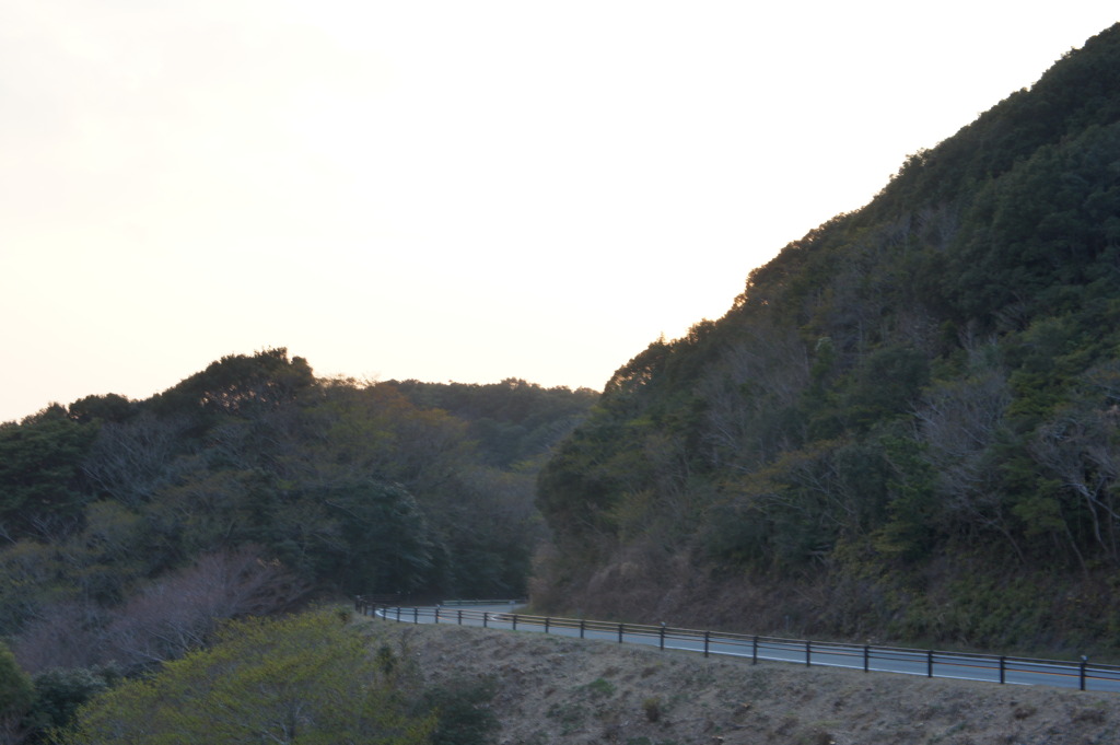 DSC00426