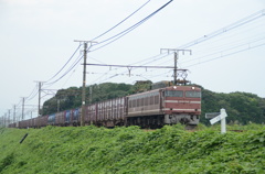 EF81 715