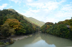 緑黄色