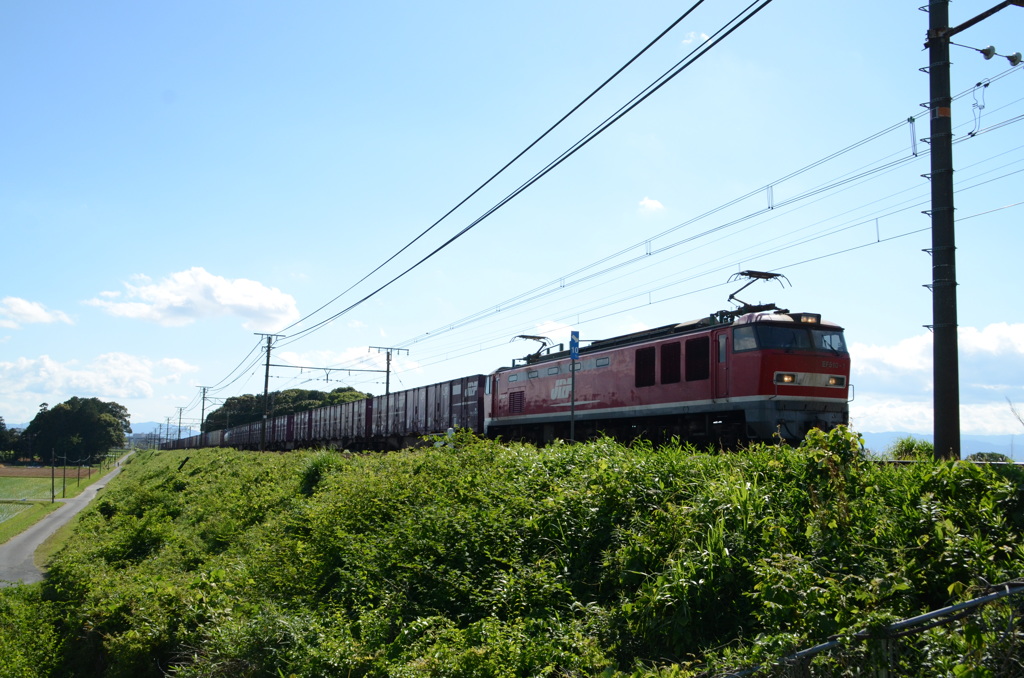 ＥＦ510-1