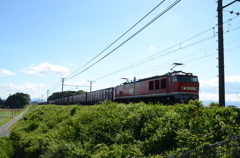 ＥＦ510-1