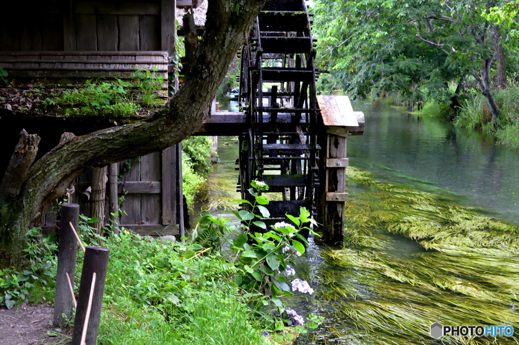 澄んだ水のある原風景１