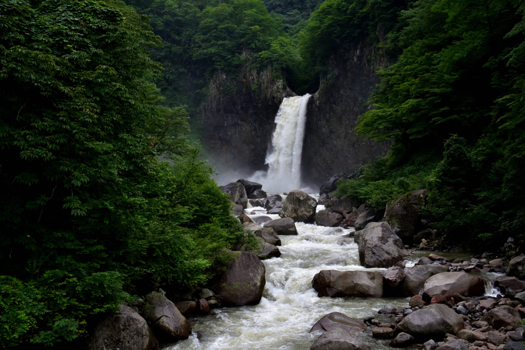 夏の顔