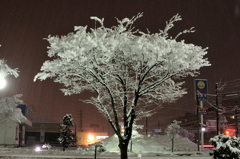 今夜雪深深と２