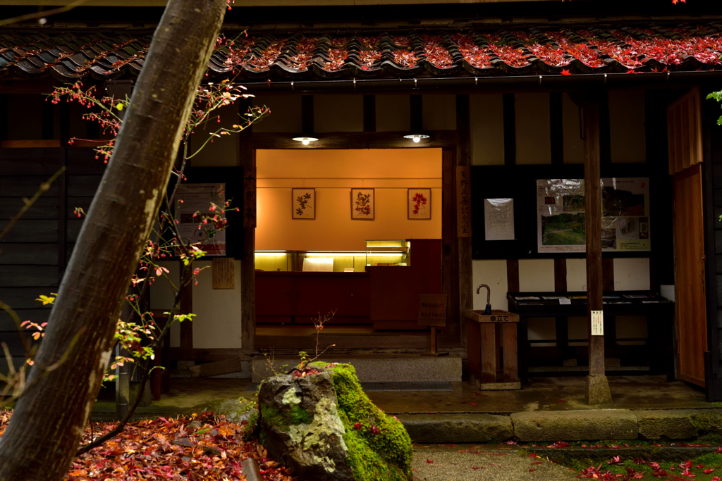 中野邸美術館と秋１