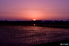 今日の夕焼け～日の入り直前