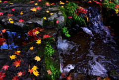 水の流れと秋色
